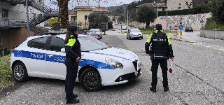 Ascoli - Truffa assicurativa smascherata dalla Polizia Locale, broker nei guai
